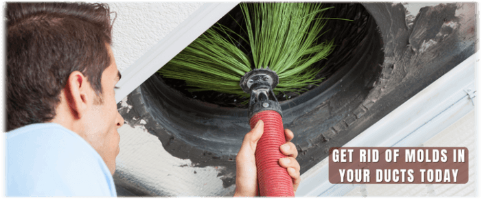 Air Duct Mold Removal in Palm Desert CA