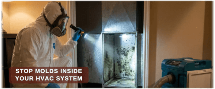HVAC Mold Removal Palm Desert CA